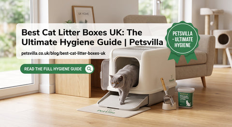 Best Cat Litter Box in the UK