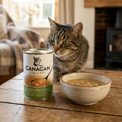 Canagan Cat Tuna Soup 140g