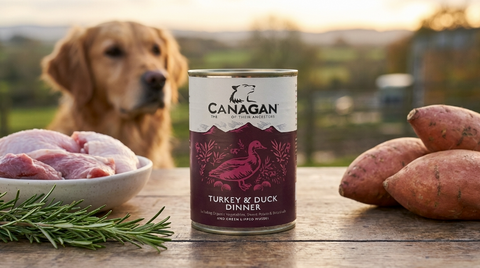 Canagan Turkey & Duck Dinner: A Feast Fit for Your Furry Friend!