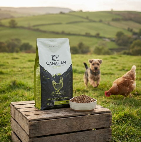 CANAGAN Dog Large Breed Free Range Chicken 2kg