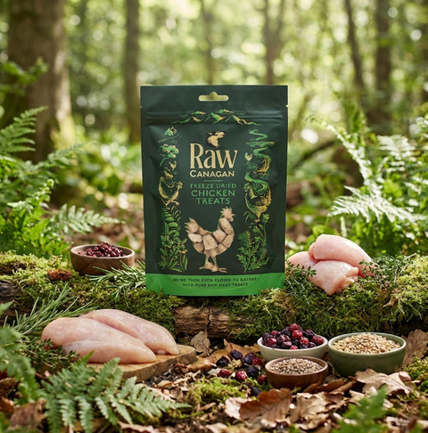 CANAGAN Raw Freeze-Dried Chicken Dog Treats: Pure, Natural Goodness for Your Furry Friend