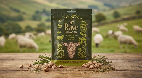 CANAGAN Raw Freeze-Dried Lamb Dog Treats