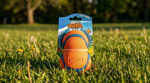 Chuckit!® Ultra Tumbler
