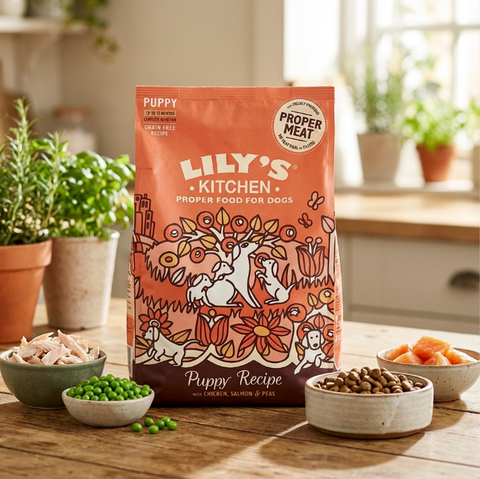 Lily's Kitchen
