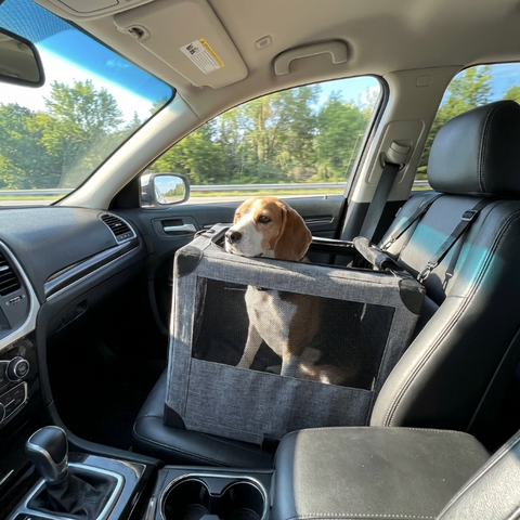 Pet Backpack