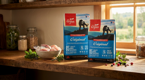 ORIJEN Original Dog Food Bulk Bundle