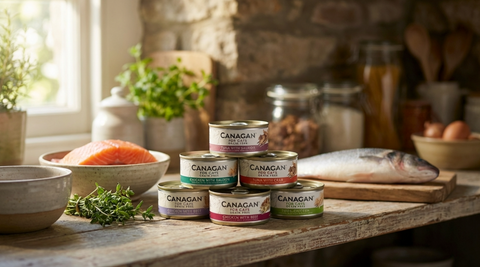 The Guide to Premium Cat Nutrition: Why the CANAGAN Cat Wet Food Can & Bundle is a Game-Changer for Cat Owners