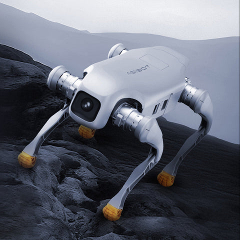 AGIBOT D1 Robot Dog 