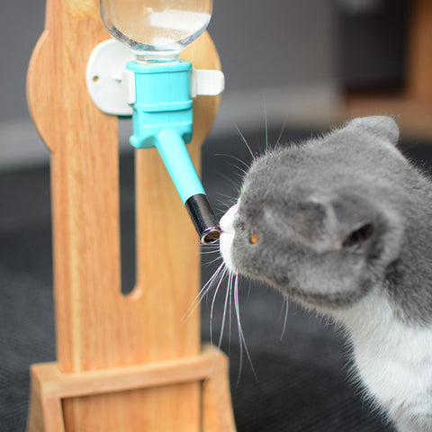 MIAOFAIRY Pet Standing Water Dispenser - product image. This is a product of Pets Villa.