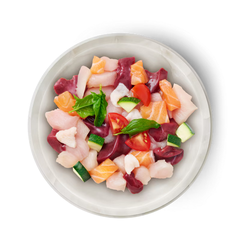 TERRA FELIS Adult Cat Complementary Famousse Salmon and Chicken