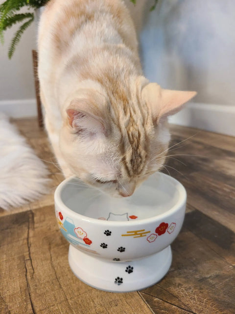 Necoichi Pet Bowl 25% Off