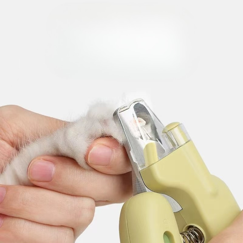 Claw close up image with AIWO Banana LED Nail Clipper - Pets Villa. 