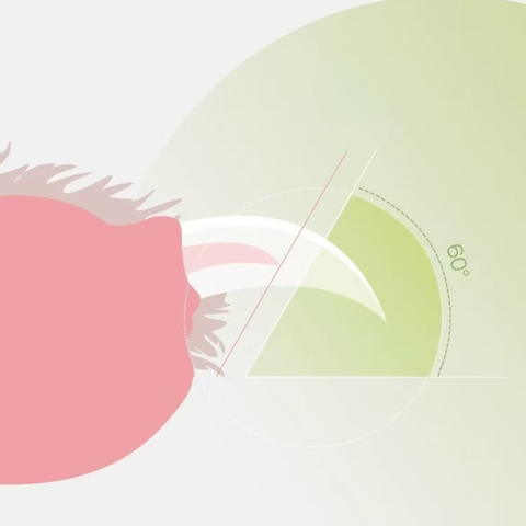 Claw diagram of AIWO Banana LED Nail Clipper - Pets Villa. 