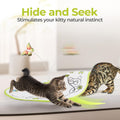 Image of kittens playing with ALL FOR PAWS 2in1 Butterfly Electric Cat Toy with Hide and Seek - Pets Villa. 