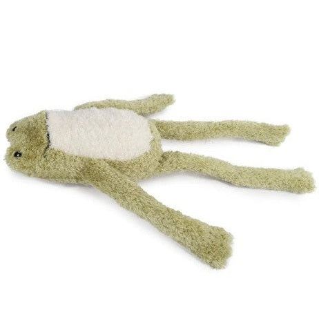 Product image of ALL FOR PAWS Titan Gnaw Karla the Frog Dog Toy - Pets Villa. 