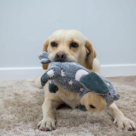 Product image of ANCOL Cuddle Glow in the Dark Owl Dog Toy - Pets Villa. 