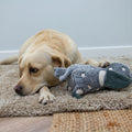 Product image of ANCOL Cuddle Glow in the Dark Owl Dog Toy - Pets Villa. 