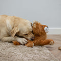 Product image of ANCOL Cuddle King Leo the Lion Dog Toy - Pets Villa. 