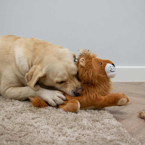 Product image of ANCOL Cuddle King Leo the Lion Dog Toy - Pets Villa. 