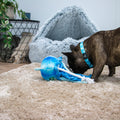 Product image of ANCOL Made From Jellyfish Dog Toy - Pets Villa. 