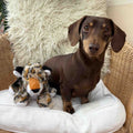Front image of ANCOL Made From Leo the Leopard Mini - Pets Villa. 