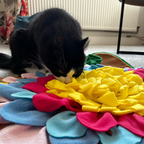 Product image of ANCOL Orva Square Snuffle Mat - Pets Villa. 
