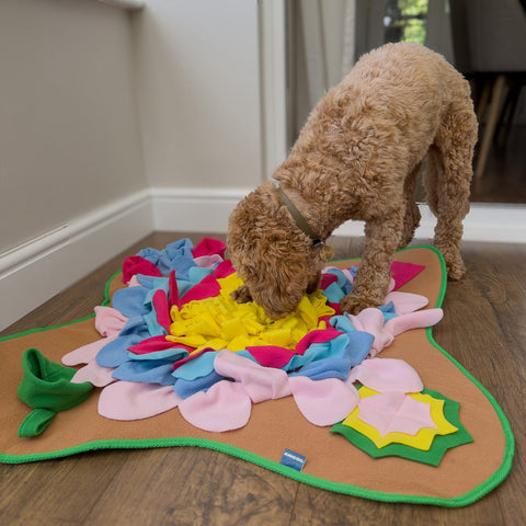 Product image of ANCOL Orva Square Snuffle Mat - Pets Villa. 