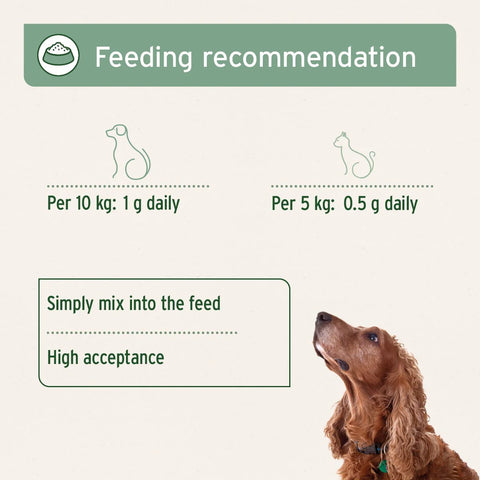 Feeding recommendation ofANIFORTE MSM Powder for Cats and Dogs 300g - Pets Villa. 