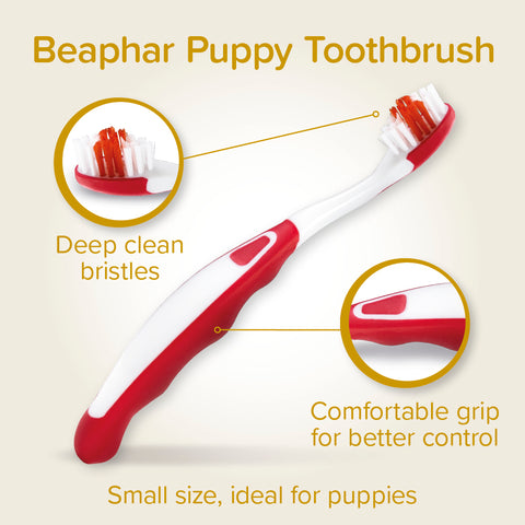 Toothbrush image of Beaphar Puppy Dental Kit
 - Pets Villa. 