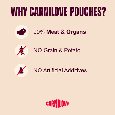 CARNILOVE Cat Pheasant Fillets Enriched with Raspberry Leaves in Gravy