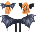 Front image of Black Bat Wing Pet Costume - Pets Villa. 