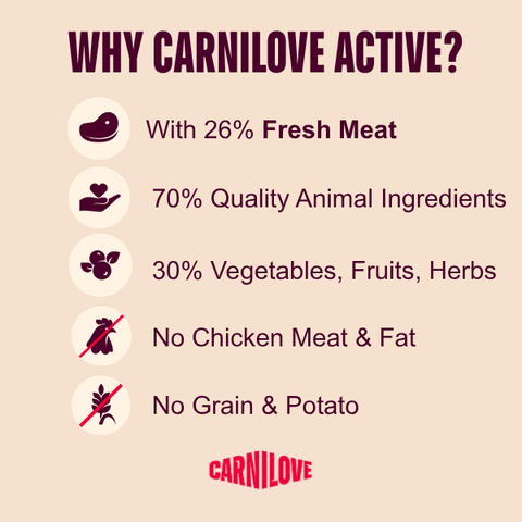 Benefits of CARNILOVE Active Dog Salmon and Turkey for Adult Dogs - ets Villa. 