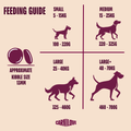 Feeding Guide image of CARNILOVE Active Dog Salmon and Turkey for Adult Dogs - Pets Villa. 