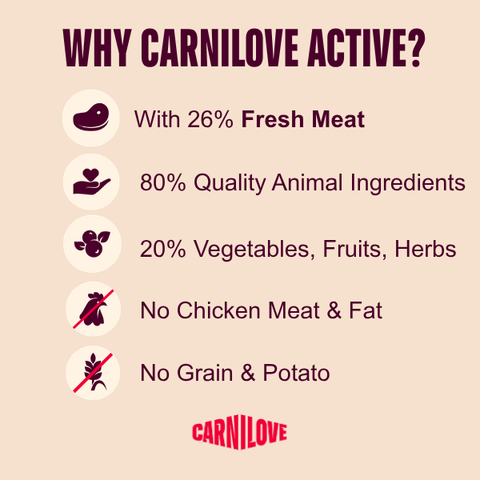 Benefits image of CARNILOVE Active Kitten Salmon and Turkey for Kittens - Pets Villa. 