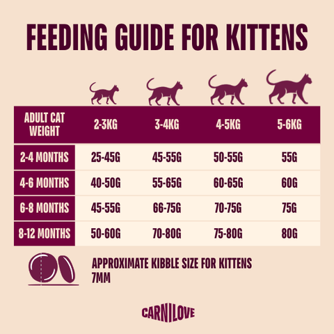 Feeding Guide image of CARNILOVE True Fresh Beef for Kittens - Pets Villa. 