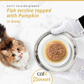 Image of CATIT Cuisine Dinner Fish Terrine topped with Pumpkin on a plate - Pets Villa. 