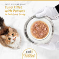 Image of CATIT Cuisine Tuna Fillet with Prawns on a plate - Pets Villa. 