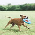 Dog playing with CHUCKIT! Fetch Flight - Pets Villa. 
