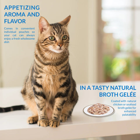 Image of a cat with flavour information of CHURU Cat Complementary Twin Packs Chicken Recipe in Chicken Broth 2x40g - Pets Villa. 