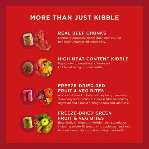 Image of the content of COYA Kibble Plus Beef Adult Dog Food - Pets Villa. 