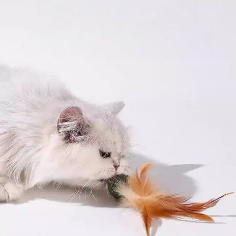 Image of a cat with Catnip Ball with Feather  - Pets Villa. 
