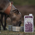 Imageof dogs drinking EDEN Wild Venison Bone Broth 500ml - Pets Villa.