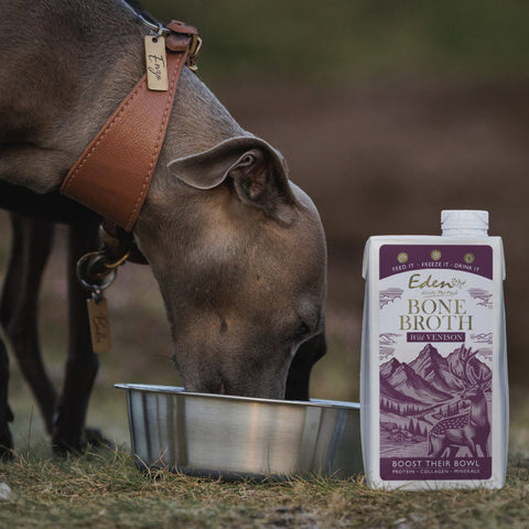 Imageof dogs drinking EDEN Wild Venison Bone Broth 500ml - Pets Villa.