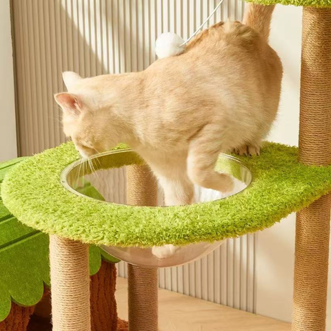 Bowl close up of Farm Cottage Cat Condo and Climbing Frame - Pets Villa. 
