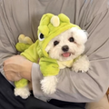 Small dog wearing Fleece Dinosaur Pet Onesie - Pets Villa. 