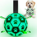 Front image of Glow in the Dark Dog Ball with Straps  - Pets Villa. 