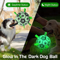 Image of the different appearances of Glow in the Dark Dog Ball with Straps  - Pets Villa. 