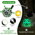 Image of the glow in the dark instruction of Glow in the Dark Dog Ball with Straps - Pets Villa. 