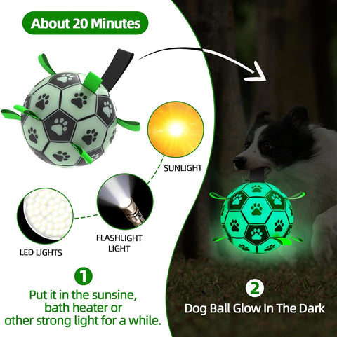 Image of the glow in the dark instruction of Glow in the Dark Dog Ball with Straps - Pets Villa. 