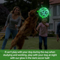 Image of a dog playing with Glow in the Dark Dog Ball with Straps  - Pets Villa. 